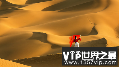 撒哈拉沙漠是世界上最大的沙漠