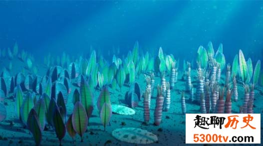 人体中仍有5.55亿年前的海洋生物基因