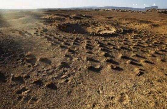 罗布泊发现神秘太阳墓 埋葬3800年的未解之谜