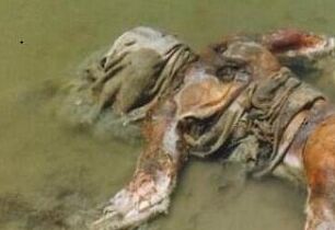 中国史上最恐怖的杀人案之水库浮尸案