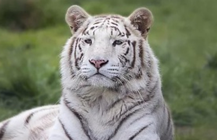 1600929558267341.png image.png