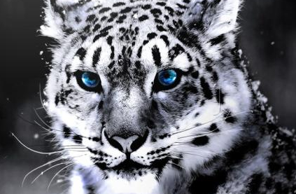 1600929552538380.png image.png