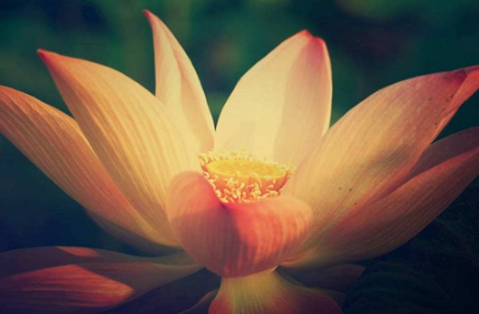 1575360157245637.png image.png