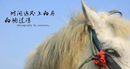 1600668910330376.png image.png