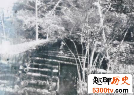日军忆抗联游击战：旅团长被抗联神枪手一枪毙命