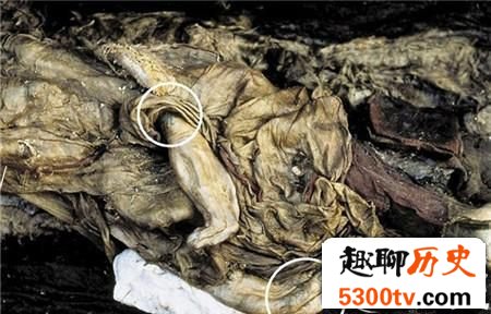 阿尔泰山发现2500年前干尸 身上有神秘纹身