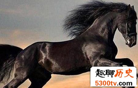 英雄豪杰纵马驰骋！盘点史上有哪些历代名马