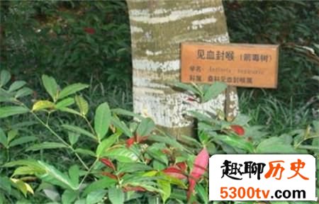 古时候打仗为何很少使用毒箭？可能有点而恶心