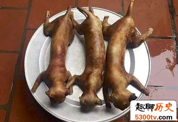揭秘越南人视猫肉为美味,每个月都要吃一次
