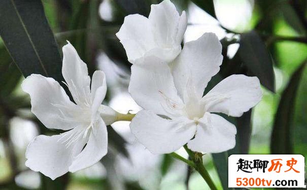 农村八大灵异事件:不知道你有没有遇到过