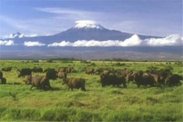 世界十大平原排名 我国两个上榜，第一面积560万平方公里