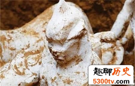 宁夏古墓中挖出狮身人面像 已经有千年历史