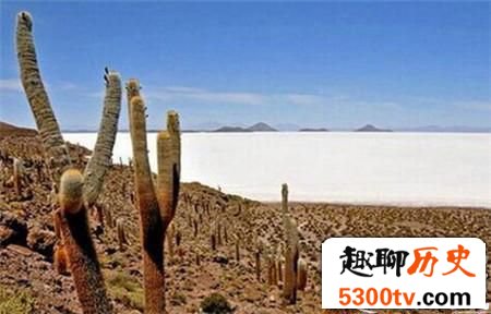 山上挖出500年前献祭少女尸身 皮肤还有弹性!