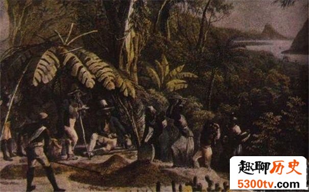 拉丁美洲独立战争的起因:反抗压迫寻求希望