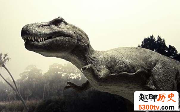 什么?庞然大物霸王龙死后能转换成石油吗