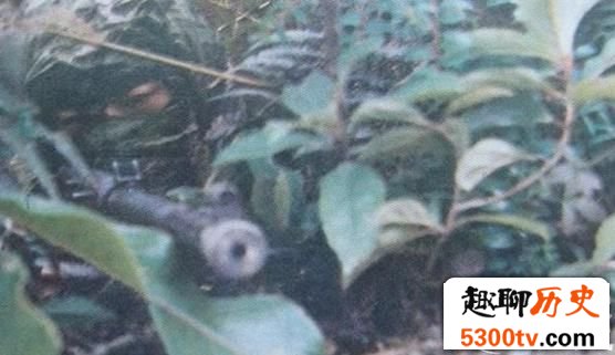插向敌后的尖刀 中越战争中我军的特种侦查分队