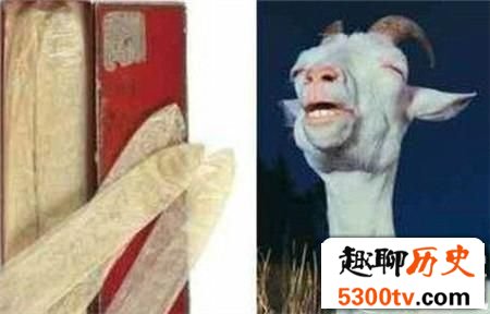 古代六大重口味黑暗避孕法 大象粪便当药喝