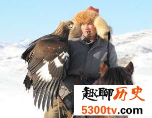 世界上最残酷的熬鹰,鹰是怎么被人驯服的?