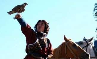 世界上最残酷的熬鹰,鹰是怎么被人驯服的?