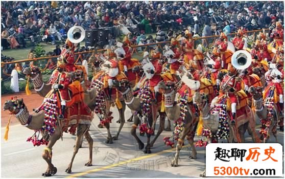 骆驼与战争：克制古代战马的沙漠之舟