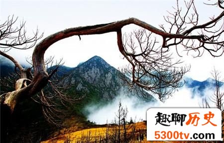 被称为中国百慕大！揭秘四川黑竹沟未解之谜