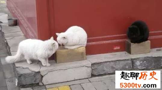 故宫开门前,工作人员为什么总要喊几声?