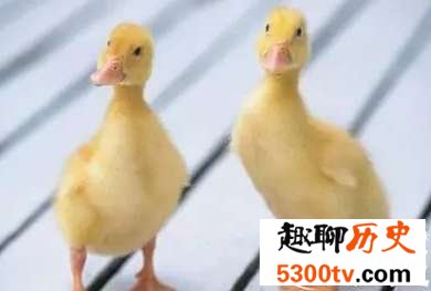 穿高跟鞋的女性更有吸引力,更容易受到男性帮助,这是为什么呢?