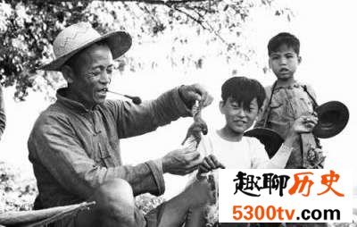 为什么麻雀被定为“四害”之一？最后又是怎么排除在外的