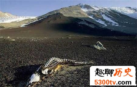 藏在昆仑山中的地狱之门 为何动物进来会死去?