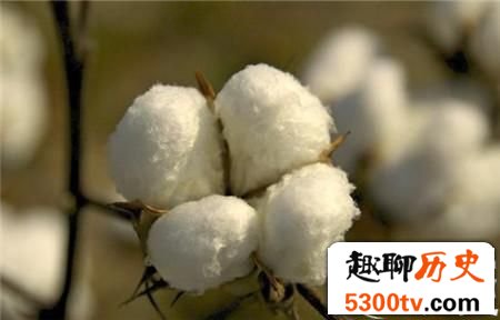 在古代没有棉花之前人们冬天都盖什么取暖?