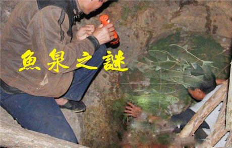 重庆鱼泉之谜，自动冒鱼的泉水带来巨大财富