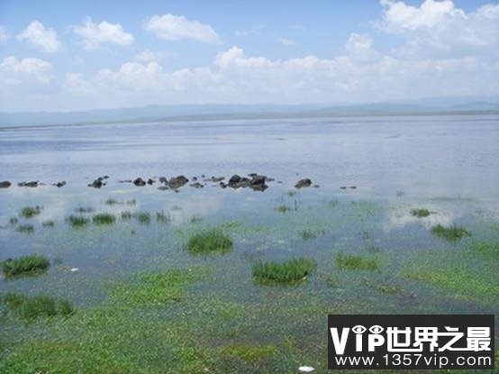 中国最大的湖泊青海湖，面积4583平方千米