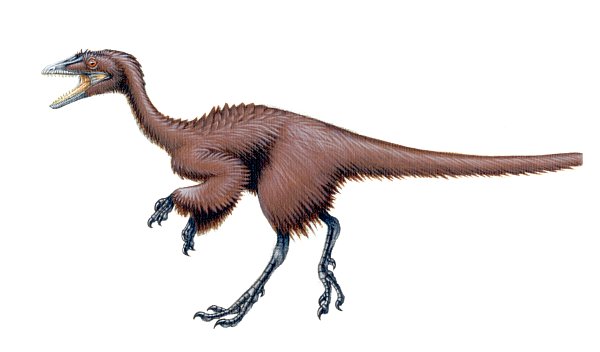 历史上最小的恐龙