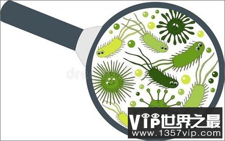 什么是病毒？什么是细菌？病毒和细菌有什么区别？