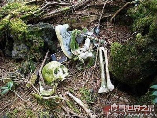 世界上最恐怖的地方 光看看就毛骨悚然了