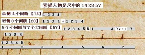 达芬奇《维特鲁威人》数字之谜(图)