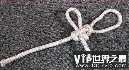 把蛇打结起来蛇能自己解开吗？
