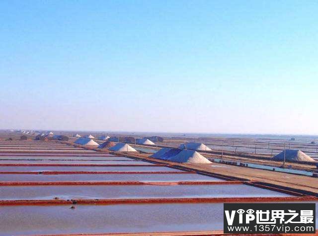中国最大的盐场，塘沽盐场年产盐119万吨(中外驰名)