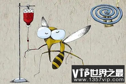 蚊子睡觉吗?蚊子睡眠不足宁愿补觉也不愿咬人? 蚊子睡觉吗?蚊子睡眠不足宁愿补觉也不愿咬人?