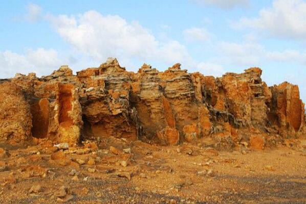 世界上十座迷人的石化森林，美国6处地方上榜！