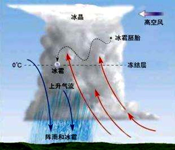 为什么夏天会下冰雹,冰雹产生原因及预防措施