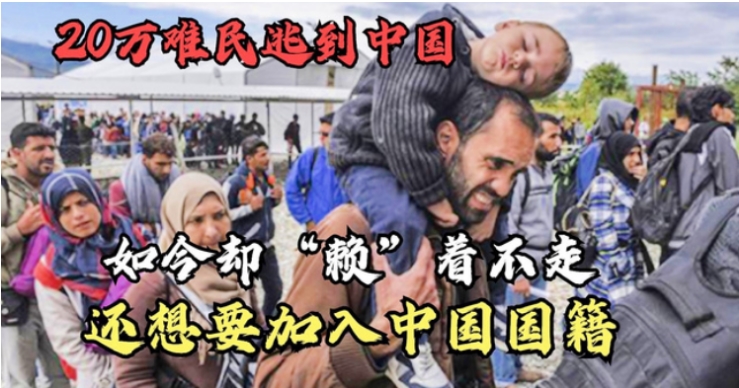 十多万难民来到中国 居然还想要中国国籍 大国气量