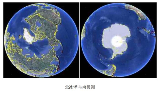 南极和北极有植物吗？