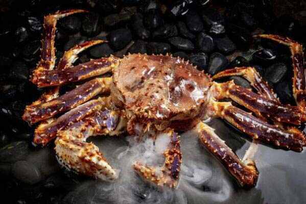 全球十大螃蟹品种：澳洲皇帝蟹位列榜首，黄油蟹上榜