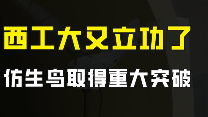 【生物飞行器】中国仿鸟飞行器重大突破