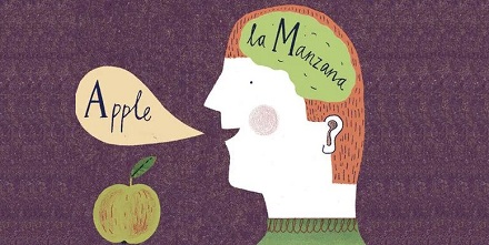 【语言冷知识】会说两种语言有助中风康复是真的吗？