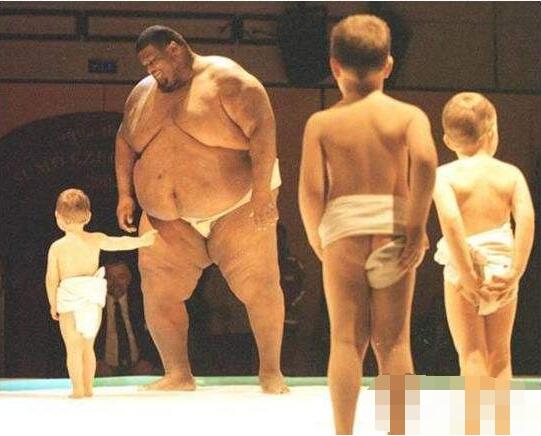 美国相扑运动员曼尼·亚伯勒，以830斤的体重获吉尼斯世界纪录