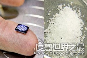 世界最小电脑，只有1毫米需显微镜才看得清(和盐