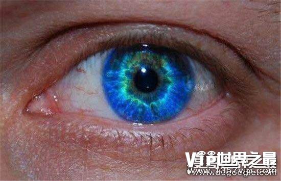 十大令人羡慕的眼睛，小说中的透视眼现实中真的存在