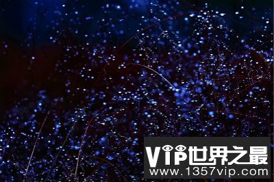 星星为何会一闪一闪的“眨眼”